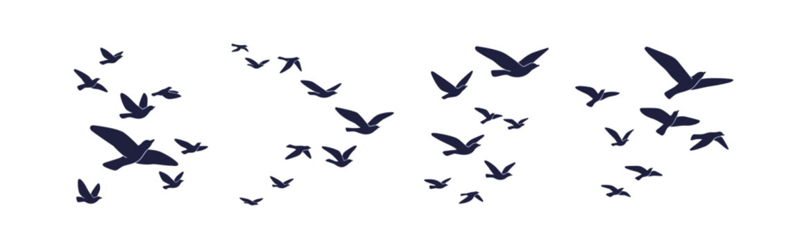 Bird flock silhouettes. Free doves in groups, fly in air. Black pigeon figure patterns, flying, soaring aloft above in sky. Freedom, migration. Flat vector illustration isolated on white background