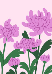 Floral card. Blooming chrysanthemum bouquet, vertical poster background. Gorgeous gentle flower blossoms, leaves. Spring and summer garden nature, delicate flora. Botanical flat vector illustration