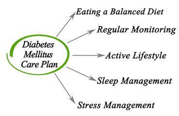 Care Plan for  Diabetes Mellitus