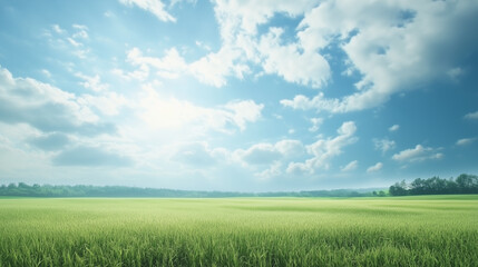 green field and blue sky. field and clouds
