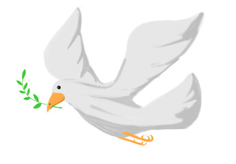A White dove flying with green twig, symbolizing global peace and harmony – PNG, transparent background.

