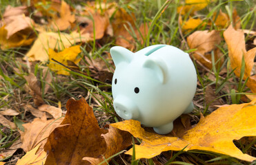 Pink piggy Bank in autumn leaves on the ground. Autumn background.