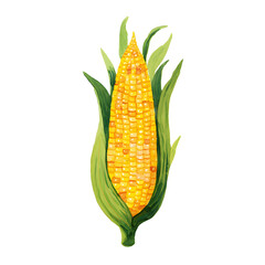 A vibrant ear of fresh golden sweet corn with lush green leaves and husks ready for harvesting and cooking