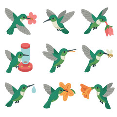 Hummingbird Feeding Icons. Isometric Flat icon set of hummingbird feeding behaviors: nectar sipping, hovering mid-air, flower