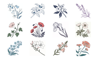 Bundle Of Hand Drawn Botanical Flower Illustrations Elegant Vintage Floral Clipart Collection For Design