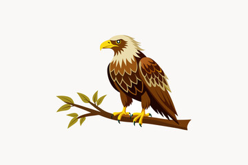 Fototapeta premium bald eagle on white background
