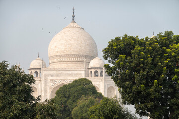 The Taj Mahal.  Dome seen through the trees