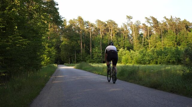 A cyclist rides into frame along a forest asphalt road on a sunny summer day. Camera is set facing straight down the road, capturing peaceful outdoor movement in natural surroundings.