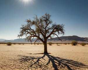 Solitary Tree Stands Tall in Arid Desert Landscape Under a Clear Blue Sky Casting Long Shadows on Cracked Earth
