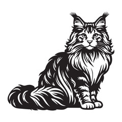 Obraz premium maine coon cat black silhouette vector with white background, Pet animal silhouette