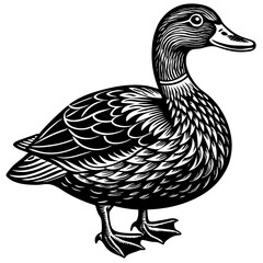 Black and White Vintage Style Duck Illustration