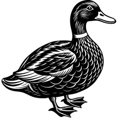 Black and White Vintage Style Duck Illustration