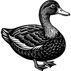Black and White Vintage Style Duck Illustration