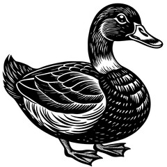 Black and White Vintage Style Duck Illustration
