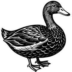 Black and White Vintage Style Duck Illustration