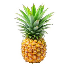 Fototapeta premium pineapple on white