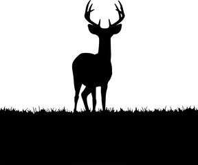 silhouette of a deer