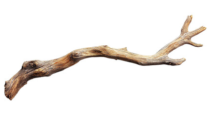 Fototapeta premium Old brown tree branch isolated on transparent background. PNG