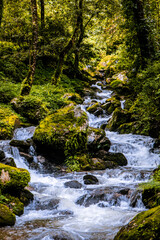Fototapeta premium waterfall in the forest at Nepal 