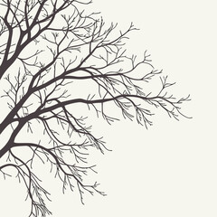 Fototapeta premium Elegant silhouetted tree branches against a neutral background perfect for modern design and branding