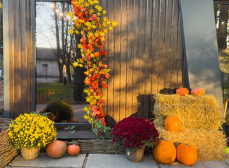 Autumn composition for Thanksgiving Day, still life background. Pumpkin harvest in basket,...