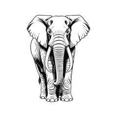 black and white elephant vector illustration on white background