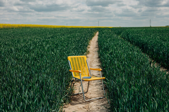 Yellow folding chair and blue book in a wheat field during spring