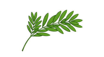 Green leaf vector illustration for nature and botanical designs in hand drawn style