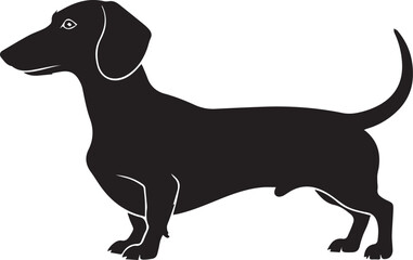 Silhouette of a Dachshund: A sleek silhouette of a dachshund, captured in a minimalist style, showcases the dog's distinct long body, short legs, and playful tail.