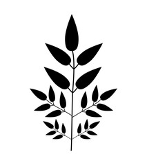 plant leaves branch vector silhouette isolated on white 