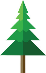 Fir Tree: Evergreen Forest

