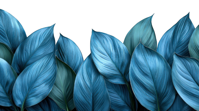 A horizontal row of lush, teal-toned leaves.  Detailed leaf veins and textures.  Dark background