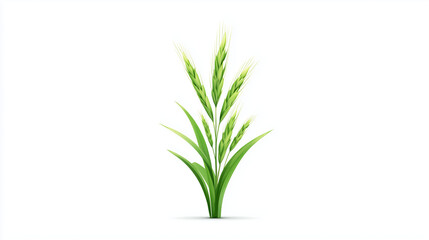 Obraz premium Illustration nette de blé vert