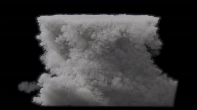 Gray Smoke Explosion on Transparent Background

A dense gray smoke blast with realistic swirling motion, rendered in alpha with transparent background for professional-grade visual effects compositing