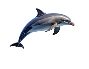 Watercolor Dolphin in Jumping Pose with Splash Effect, Isolated PNG
