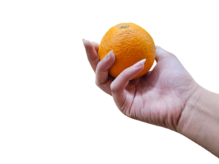 Hand holding an orange fruit. Ideal for food blogs, nutrition visuals, and advertisements promoting healthy eating. Isolated on white background, transparent PNG