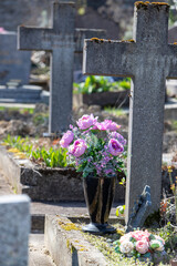 Le fleurissement d’une tombe avec un bouquet de fleurs rose. Cela permet de rendre hommage au défunt et de témoigner son attachement et le respect envers cet être cher.