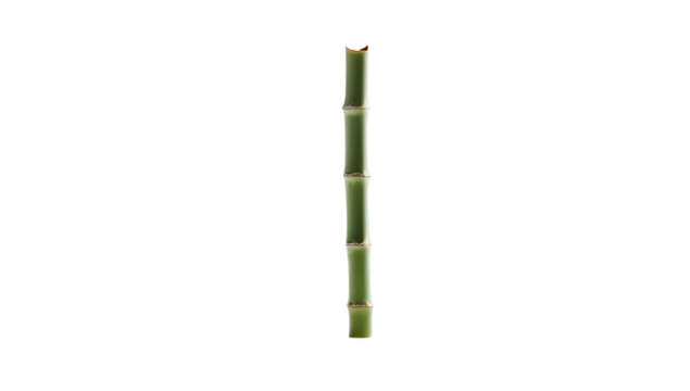 green bamboo stick isolated on transparent background