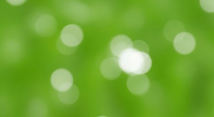 Obraz premium Soft Green Bokeh Background with Gentle Light Highlights