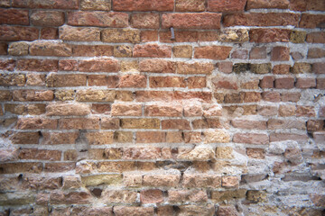 Rich textures tell stories of time in a vintage brick wall setting