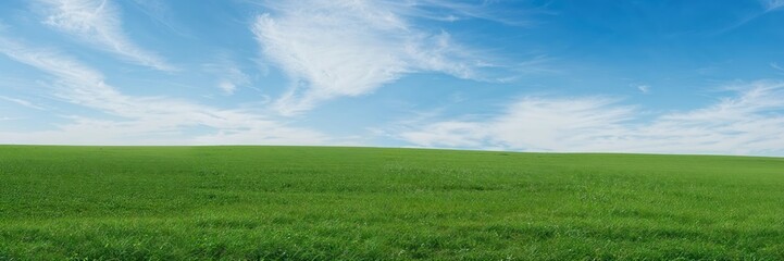 Obraz premium Green grass hill under a blue sky with scattered white clouds