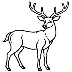 Fototapeta premium Deer line art vector