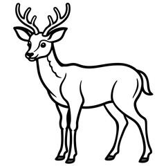 Deer line art vector