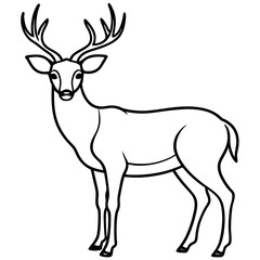 Deer line art vector