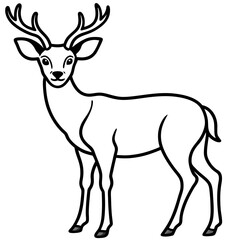 Obraz premium Deer line art vector