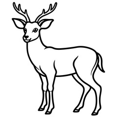 Fototapeta premium Deer line art vector