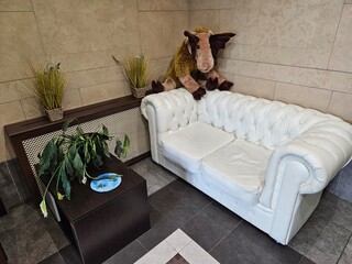 White couch with a stuffed animal on it. A plant is on a table next to the couch in the entrance...