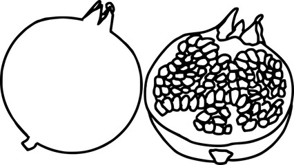 Vector Illustration of pomegranate 