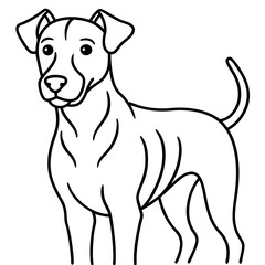 dogs line art vector