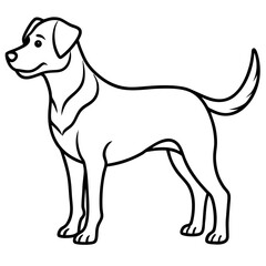 Fototapeta premium dogs line art vector
